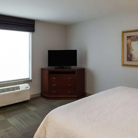 Hampton Inn & Suites Rifle-2