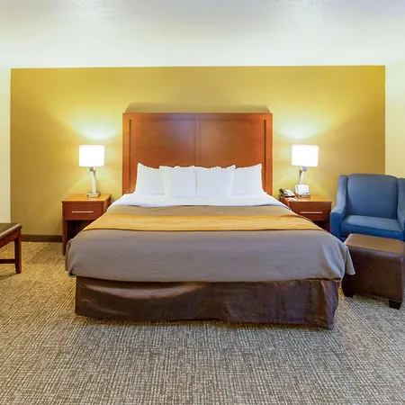 Comfort Inn Salt Lake City Downtown-3