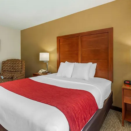 Comfort Inn & Suites Rapid City South - Mt Rushmore Gateway-3