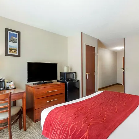 Comfort Inn & Suites Rapid City South - Mt Rushmore Gateway-2