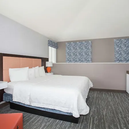 Hampton Inn & Suites Denver-Downtown-2