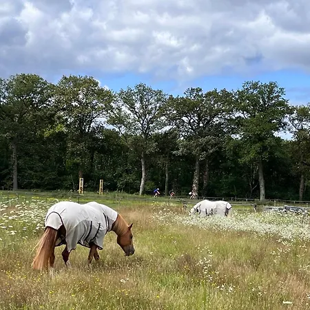 Bed&Breakfast De Paalberg-2