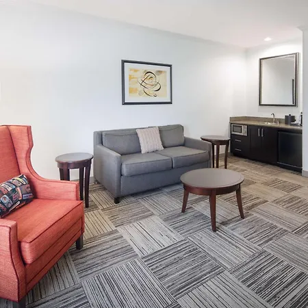Hilton Garden Inn Tyler-3