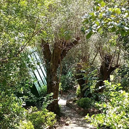 La Francesca Sud un villaggioglamping-2