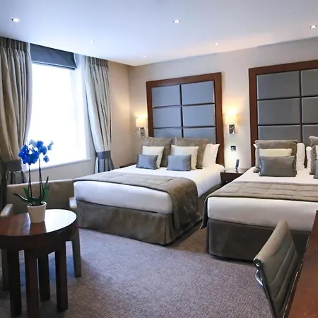 Rochester Hotel By Blue Orchid-3