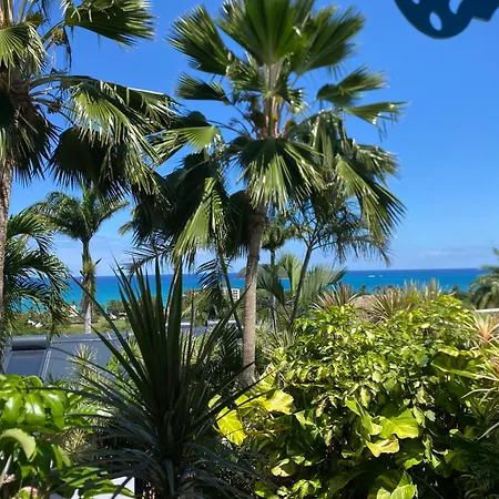 Residence Caraibes Bonheur-2