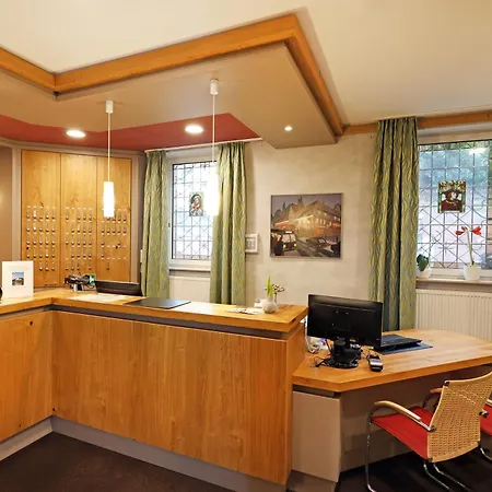 Hotel Goldener Karpfen-3