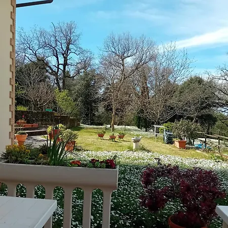 Boscodisotto-3