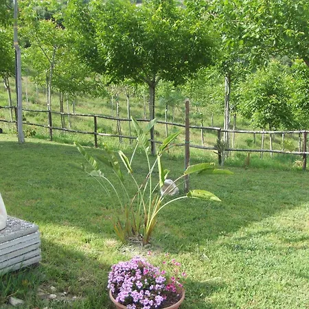 Villa Le Torrette-3