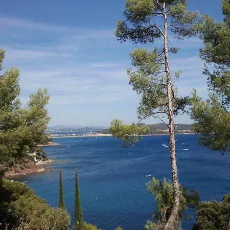 Best Western Plus Soleil et Jardin-3