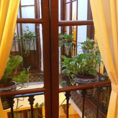 Bed & Breakfast Naranjo-3