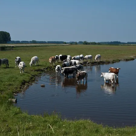 De Eenhoorn-3