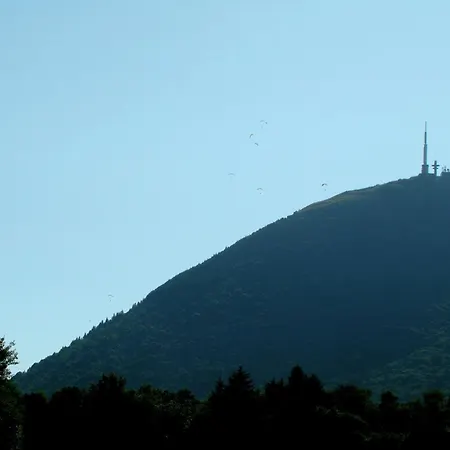 Arum-2