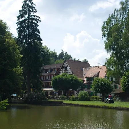 Logis Hôtel-Restaurant Auberge d'Imsthal-3