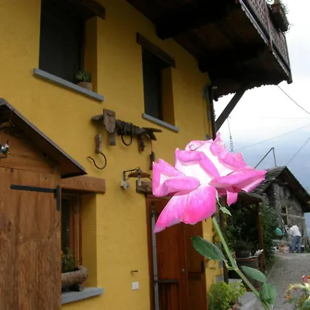 B&B Il Torchio-3