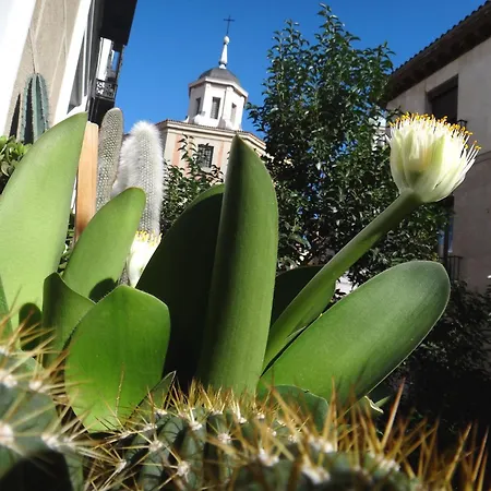 Hostal Horizonte Madrid Check-in on-line, Recepcion 14h-23h-3