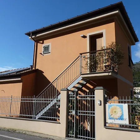 La Gerbera-2