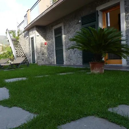 La Gerbera-3