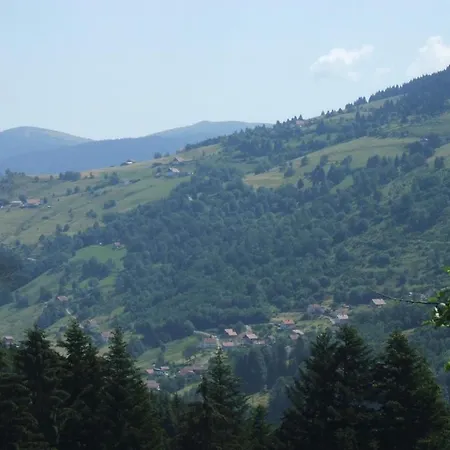 La Ferme du Vieux Sapin-2