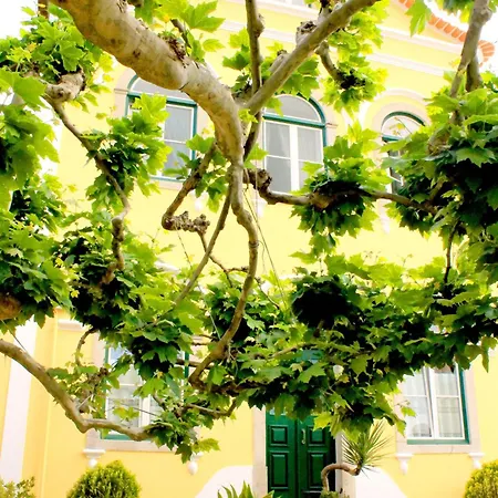 Hotel Nova Sintra - Adults Only-2