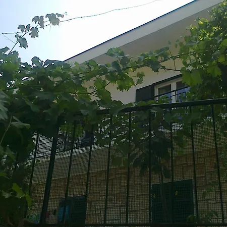 Rooms Sentic-2