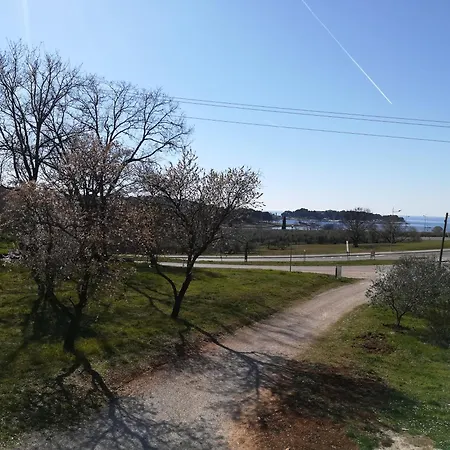 Guesthouse Porec-3