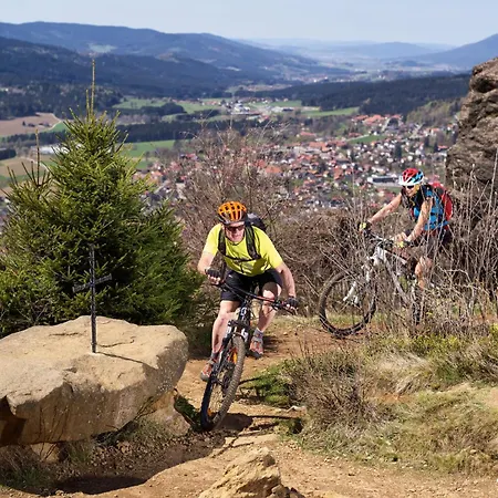 Natura Hotel Bodenmais - inkl Soft- und Heißgetränkeflat-3
