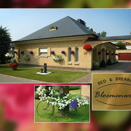 B&B Bloemenweelde-2