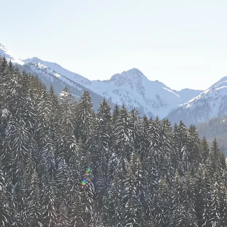 Hotel Alphof Alpbach-2
