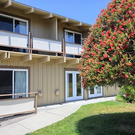 Silver Surf Motel-3