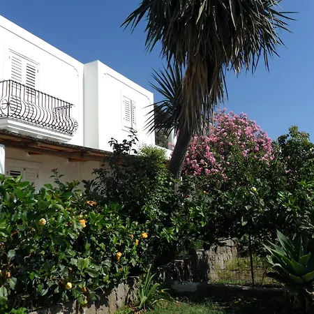 Hotel O Palmo-3