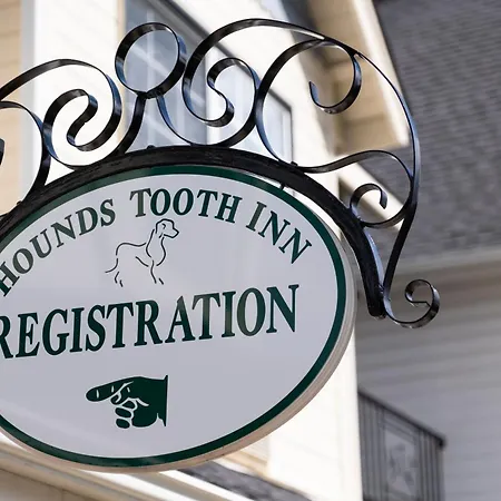 Hounds Tooth Inn-2