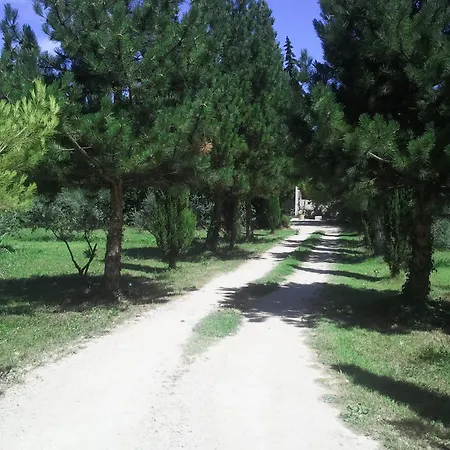 Mas De Rey-2