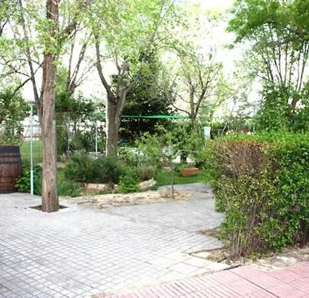 Hostal El Palomar-2
