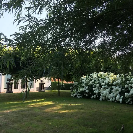 B&B De Tol-2