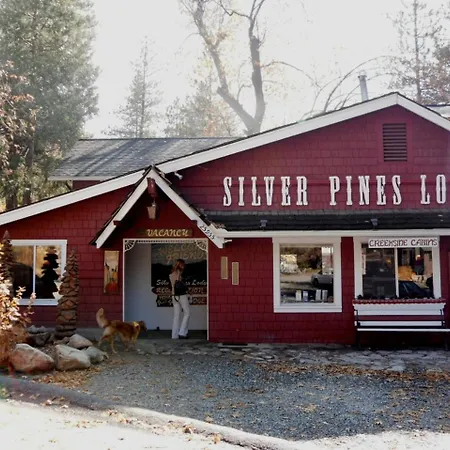 Silver Pines Lodge-3