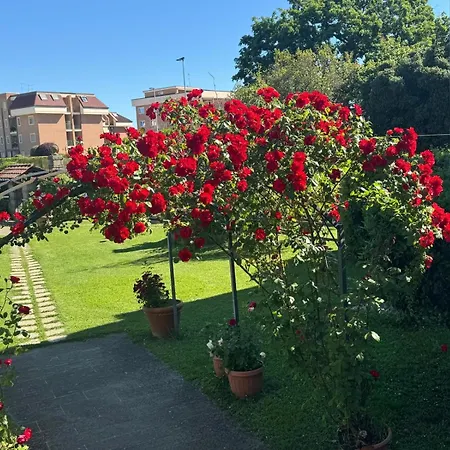 B&B Le Cinque Querce-3