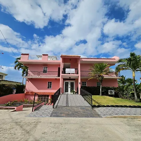Selva Boutique Hotel - Luquillo Oceanfront Retreat - Adults Only-2