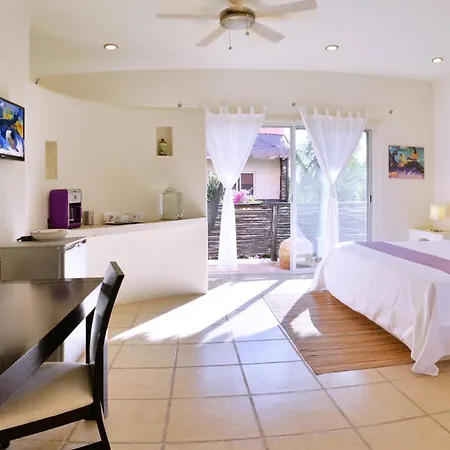 Villas Geminis Boutique Condohotel-3