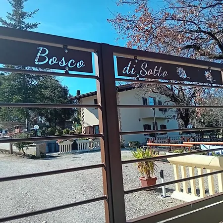 Boscodisotto-2