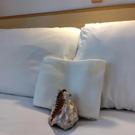 Hotel Baviera-2