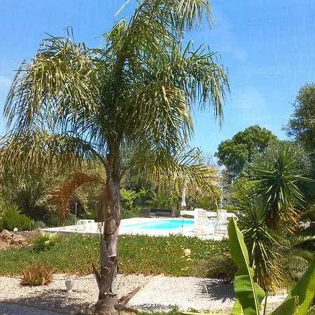 Quinta Laranjal Da Arrabida-2