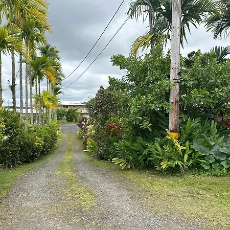Hawaiian Ohana Home-2