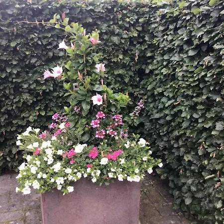 B&B De Veluwe Hoeve-3