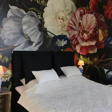 B&B Valkenbos-3