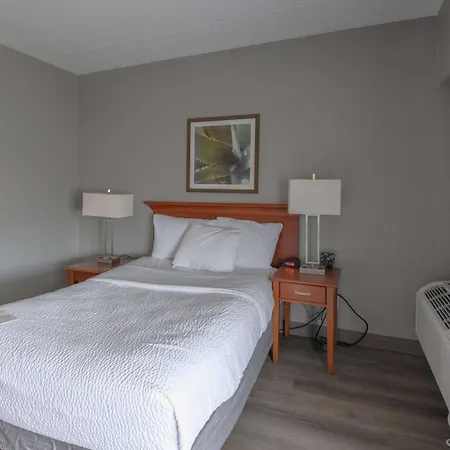 La Quinta By Wyndham New Haven-2