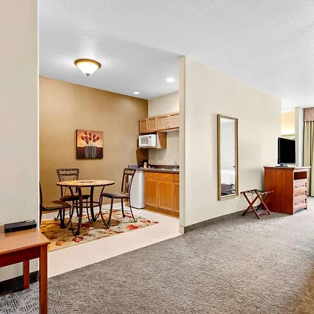 Comfort Inn & Suites I-25 Near Spaceport America-3