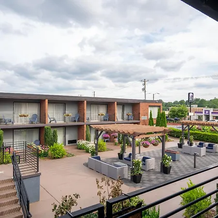 The Beaucatcher, A Boutique Motel-3