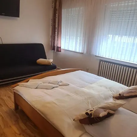 Hotel Zur Aue-2