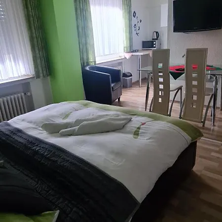 Hotel Zur Aue-3